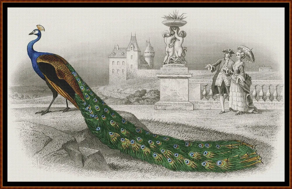 Le Paon (peacock)