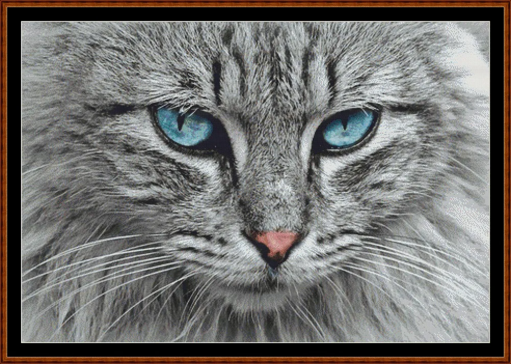 Blue Eyes patterns created from a photo by Anja (cocoparisienne) under CC0 license