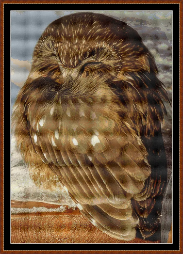 Sleepy Owl patterns created from a photo by Brigitte Werner (ArtTower) under CC0 license