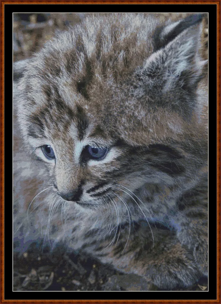 Fierce Babies - Bobcat