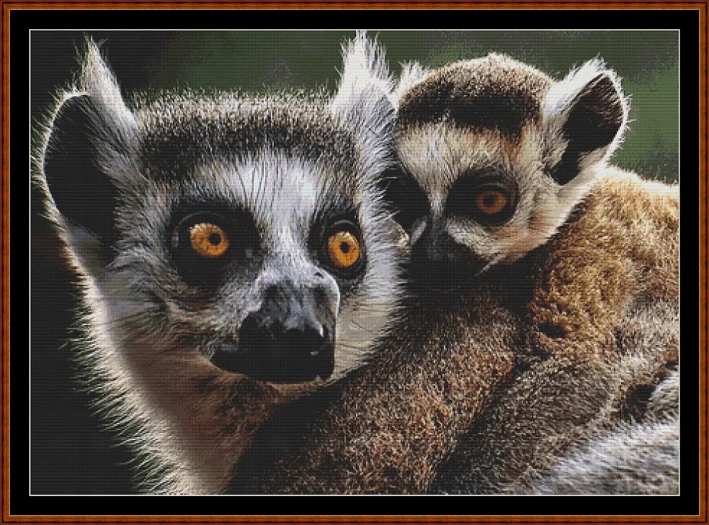 Mama's Hug - Lemur