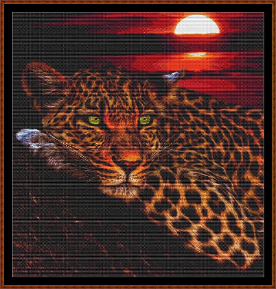 Sunset Leopard