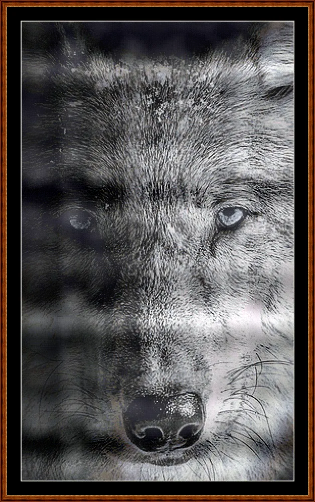 Dark Portrait - Wolf