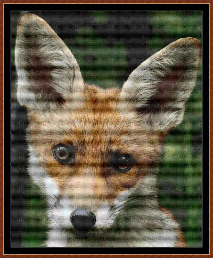 Baby Animals - Fox