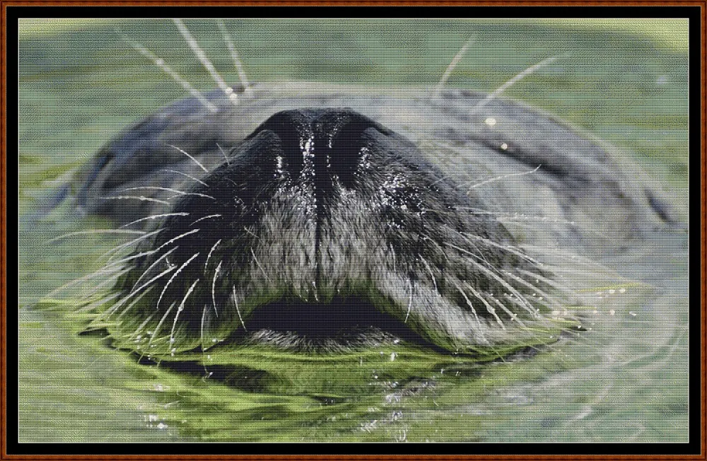 Water Babies - Seal cross stitch patterns are expertly created from art by Susanne Jutzeler under CC0 license