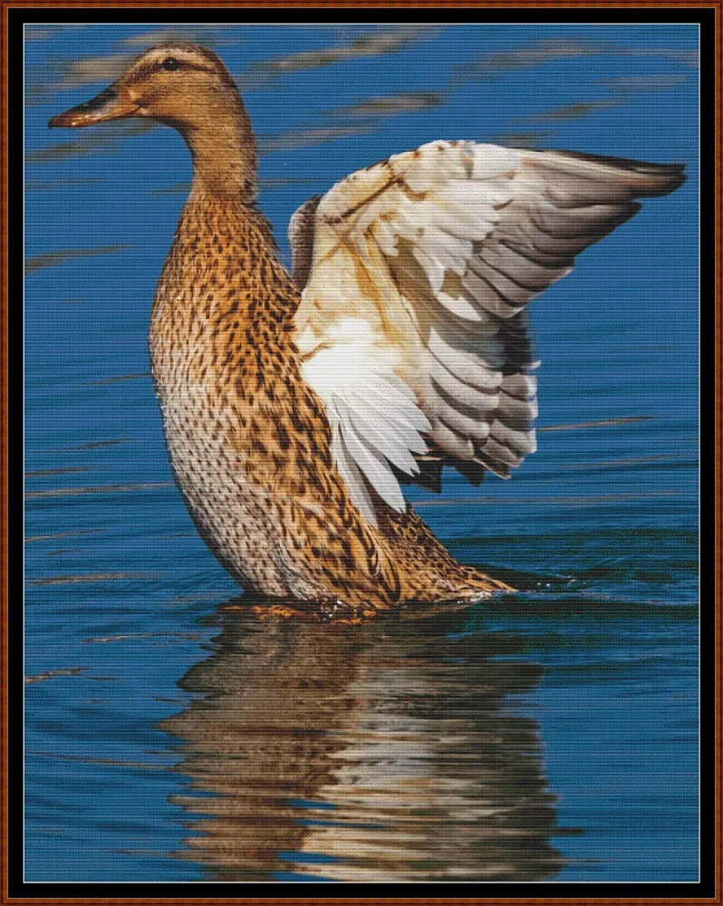 Mallard Duck - Female patterns created from a photo by NickyPe under CC0 license